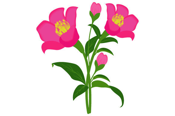 Pink Flower Illustration for Branding and Packaging